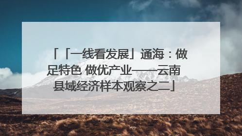 「一线看发展」通海：做足特色 做优产业——云南县域经济样本观察之二