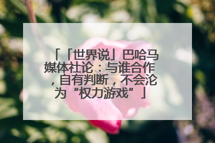 「世界说」巴哈马媒体社论：与谁合作，自有判断，不会沦为“权力游戏”