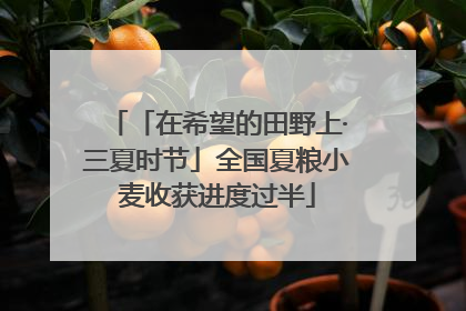「在希望的田野上·三夏时节」全国夏粮小麦收获进度过半