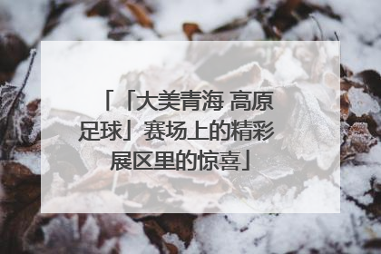「大美青海 高原足球」赛场上的精彩 展区里的惊喜