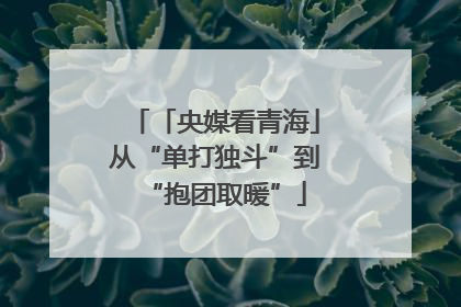 「央媒看青海」从“单打独斗”到“抱团取暖”