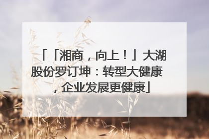 「湘商，向上！」大湖股份罗订坤：转型大健康，企业发展更健康