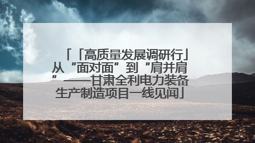 「高质量发展调研行」从“面对面”到“肩并肩”——甘肃全利电力装备生产制造项目一线见闻