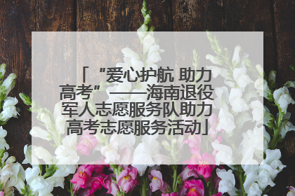 “爱心护航 助力高考”——海南退役军人志愿服务队助力高考志愿服务活动