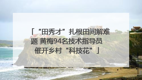 “田秀才”扎根田间解难题 黄梅94名技术指导员催开乡村“科技花”