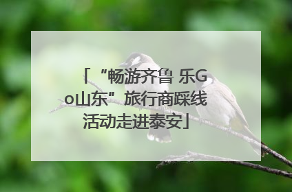 “畅游齐鲁 乐Go山东”旅行商踩线活动走进泰安