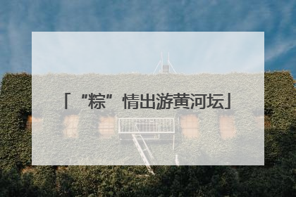 “粽”情出游黄河坛
