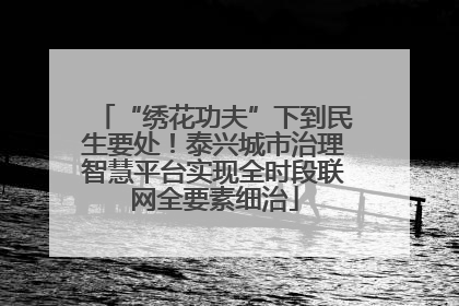“绣花功夫”下到民生要处！泰兴城市治理智慧平台实现全时段联网全要素细治