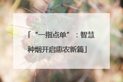 “一指点单”：智慧种烟开启惠农新篇