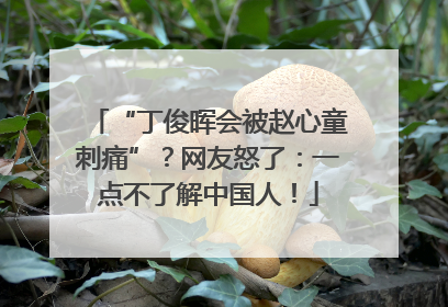 “丁俊晖会被赵心童刺痛”？网友怒了：一点不了解中国人！
