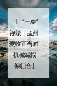“三夏”视觉｜孟州麦收正当时 机械减损保归仓