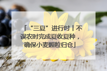 “三夏”进行时丨不误农时完成夏收夏种，确保小麦颗粒归仓