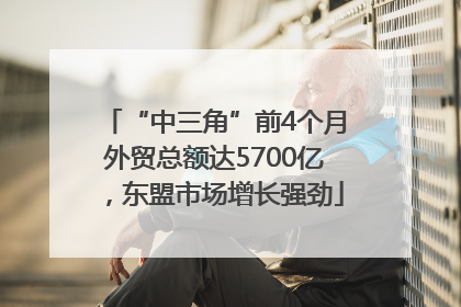 “中三角”前4个月外贸总额达5700亿，东盟市场增长强劲