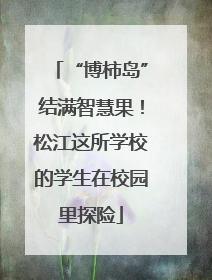 “博柿岛”结满智慧果！松江这所学校的学生在校园里探险
