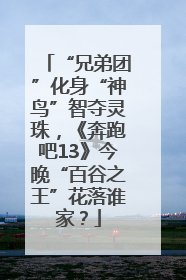 “兄弟团”化身“神鸟”智夺灵珠，《奔跑吧13》今晚“百谷之王”花落谁家？