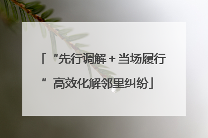 “先行调解＋当场履行”高效化解邻里纠纷