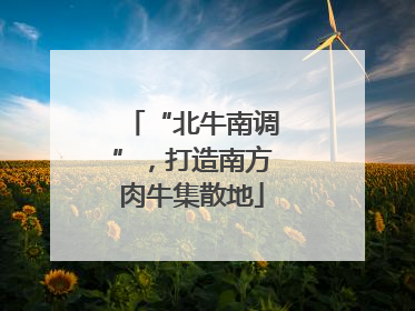 “北牛南调”，打造南方肉牛集散地