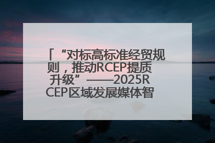 “对标高标准经贸规则，推动RCEP提质升级”——2025RCEP区域发展媒体智库论坛举行专题对话