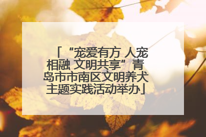 “宠爱有方 人宠相融 文明共享”青岛市市南区文明养犬主题实践活动举办