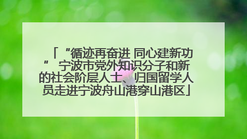 “循迹再奋进 同心建新功” 宁波市党外知识分子和新的社会阶层人士、归国留学人员走进宁波舟山港穿山港区