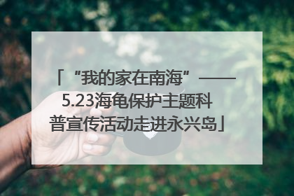 “我的家在南海”——5.23海龟保护主题科普宣传活动走进永兴岛