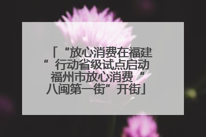“放心消费在福建”行动省级试点启动 福州市放心消费“八闽第一街”开街