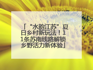 “水韵江苏”夏日乡村新玩法！11条苏南线路解锁乡野活力新体验