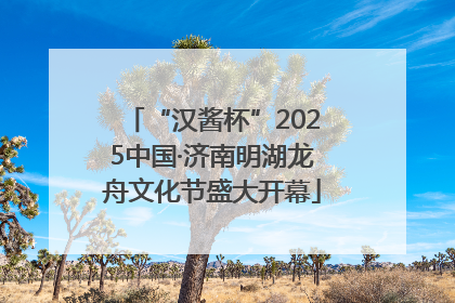 “汉酱杯”2025中国·济南明湖龙舟文化节盛大开幕