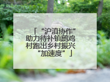 “沪滇协作”助力待补镇鹧鸡村跑出乡村振兴“加速度”