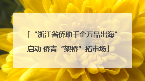 “浙江省侨助千企万品出海”启动 侨青“架桥”拓市场