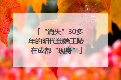 “消失”30多年的明代蜀端王陵在成都“现身”