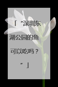 “深圳东湖公园的鱼可以吃吗？”