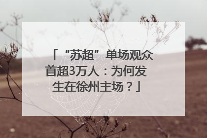 “苏超”单场观众首超3万人：为何发生在徐州主场？