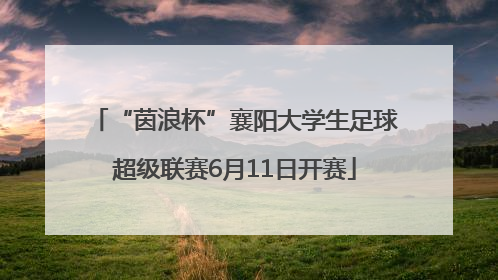 “茵浪杯”襄阳大学生足球超级联赛6月11日开赛