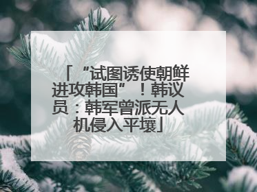 “试图诱使朝鲜进攻韩国”！韩议员：韩军曾派无人机侵入平壤