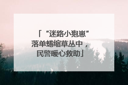 “迷路小狍崽”落单蜷缩草丛中，民警暖心救助