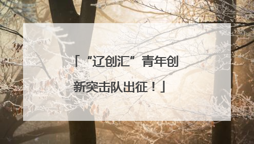 “辽创汇”青年创新突击队出征！