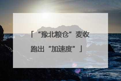 “豫北粮仓”麦收跑出“加速度”
