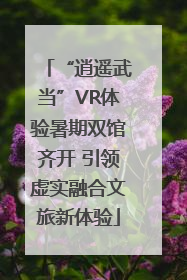 “逍遥武当”VR体验暑期双馆齐开 引领虚实融合文旅新体验