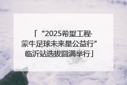 “2025希望工程·蒙牛足球未来星公益行”临沂站选拔圆满举行