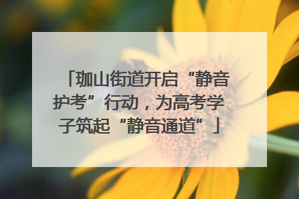 珈山街道开启“静音护考”行动，为高考学子筑起“静音通道”