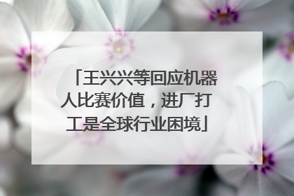 王兴兴等回应机器人比赛价值，进厂打工是全球行业困境