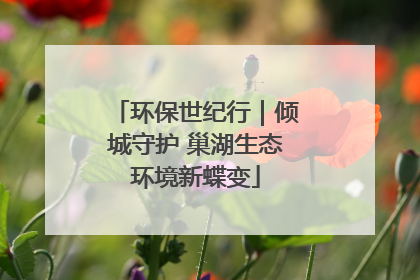 环保世纪行｜倾城守护 巢湖生态环境新蝶变