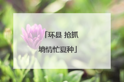 环县 抢抓墒情忙夏种