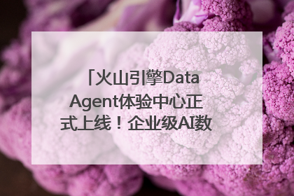 火山引擎Data Agent体验中心正式上线！企业级AI数据专家触手可及