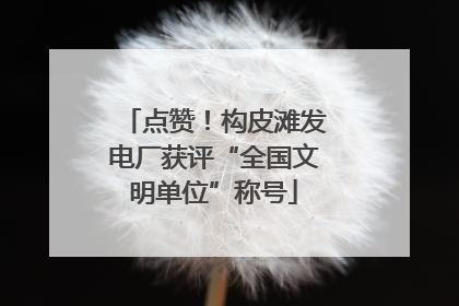 点赞！构皮滩发电厂获评“全国文明单位”称号