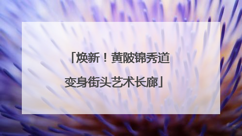 焕新！黄陂锦秀道变身街头艺术长廊