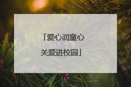爱心润童心 关爱进校园