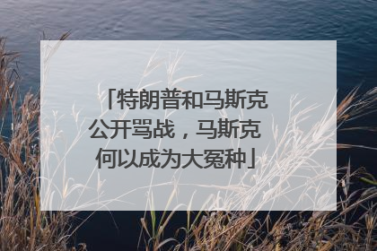 特朗普和马斯克公开骂战，马斯克何以成为大冤种