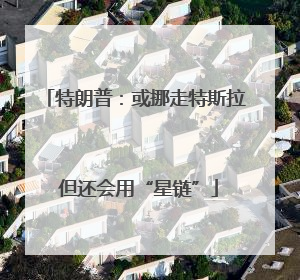 特朗普：或挪走特斯拉 但还会用“星链”